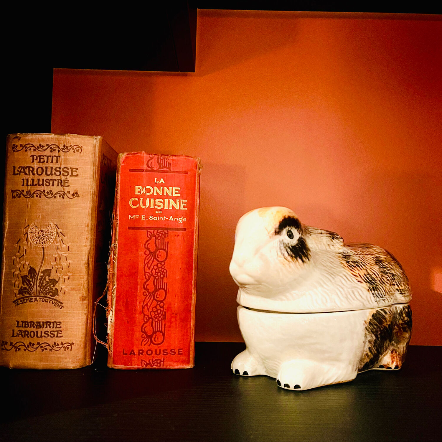 𝖳𝖾𝗋𝗋𝗂𝗇𝖾 𝗅𝖺𝗉𝗂𝗇 𝖼𝖾́𝗋𝖺𝗆𝗂𝗊𝗎𝖾 𝖼𝖺𝗎𝗀𝖺𝗇𝗍