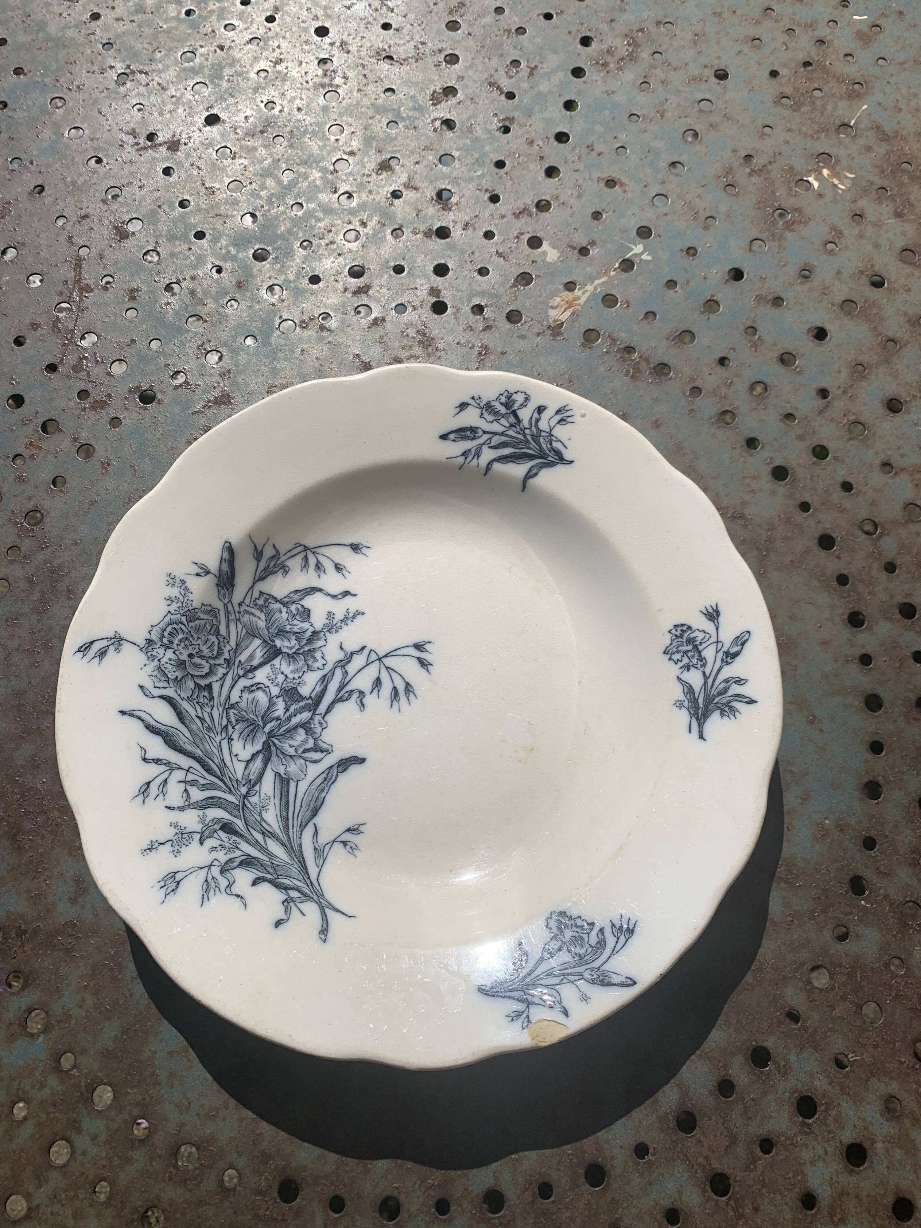 Hollow plate, fruit cup pattern carnations badonviller