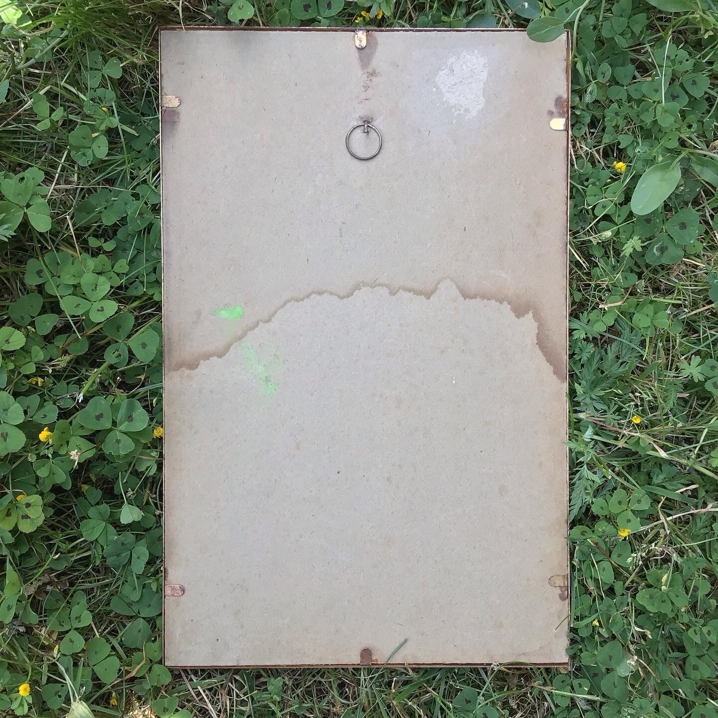 Vintage bird lithograph frame