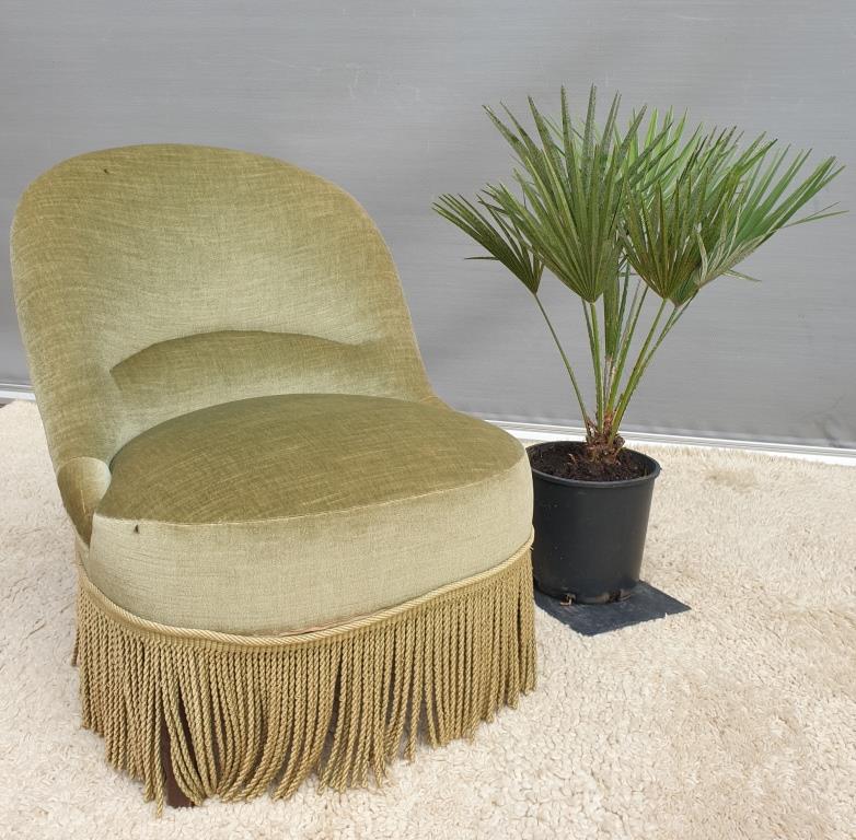 Driver toad velvet iridescent green chamarrée of fringes