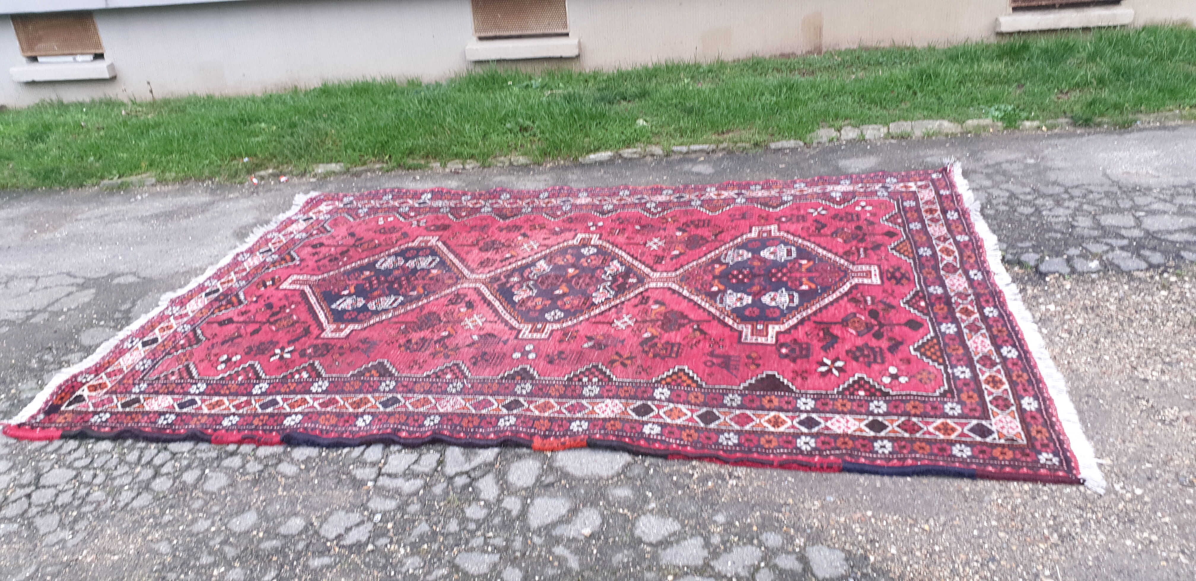 Oriental carpet wool