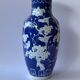 Chinese blue and white porcelain vase Chinese Spring
