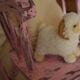Rocking-chair vintage 50 in pink patina wood