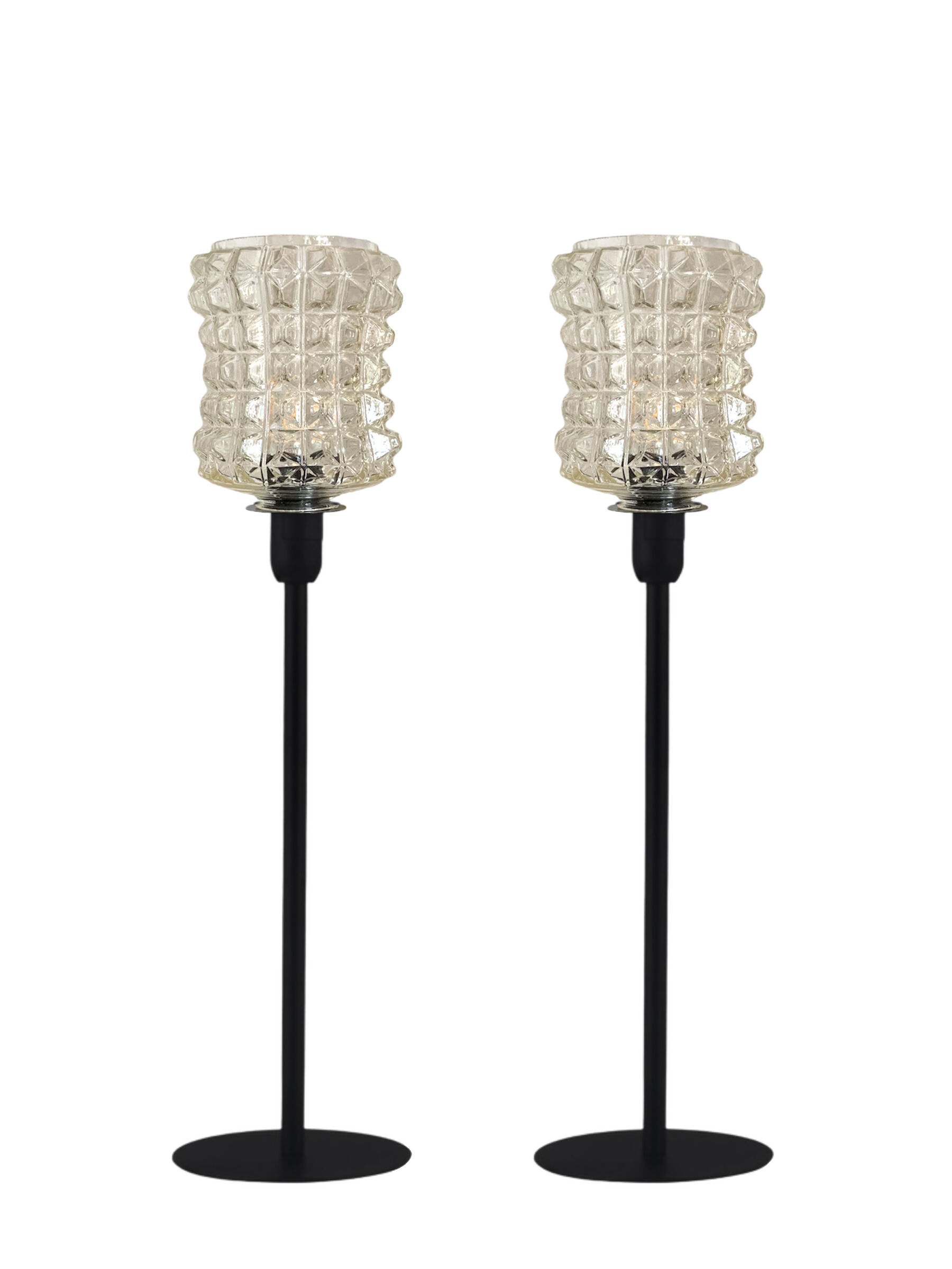 Pair of lamps with a molded glass shade