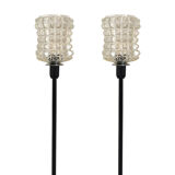 Pair of lamps with a molded glass shade