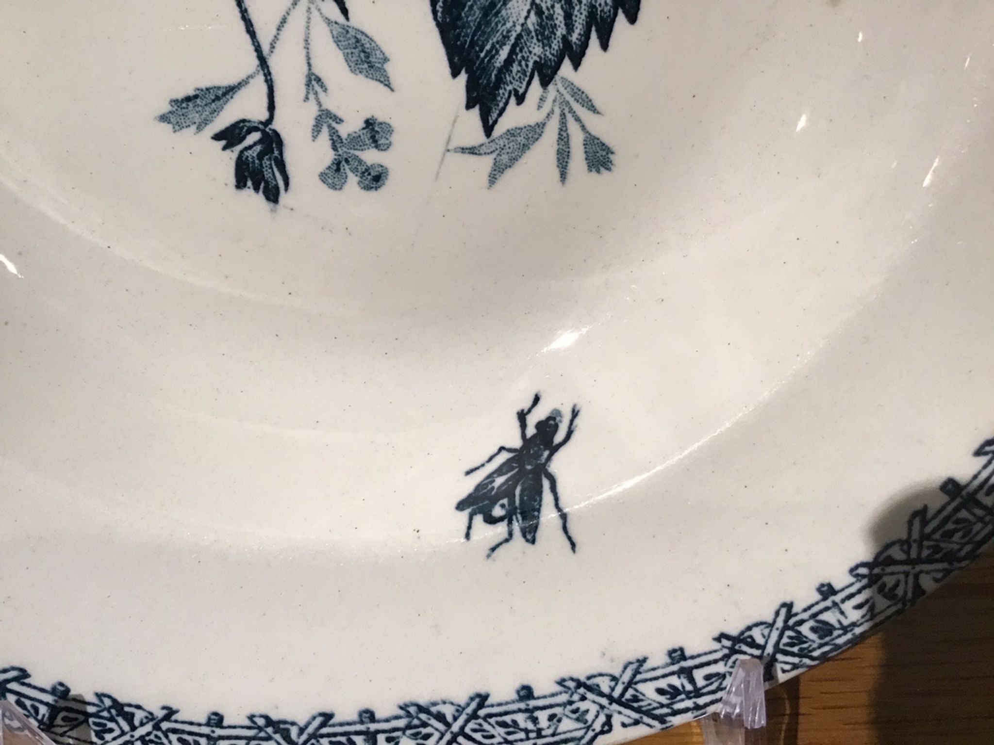 Hollow plate decor insects and strawberries, Manufacture Choisy the King, Iron Land, H Boulenger - Co.