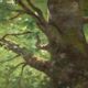 Old painting "Deer in the Woods" oil on canvas France 19th century