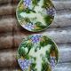 2 antique slipware plates