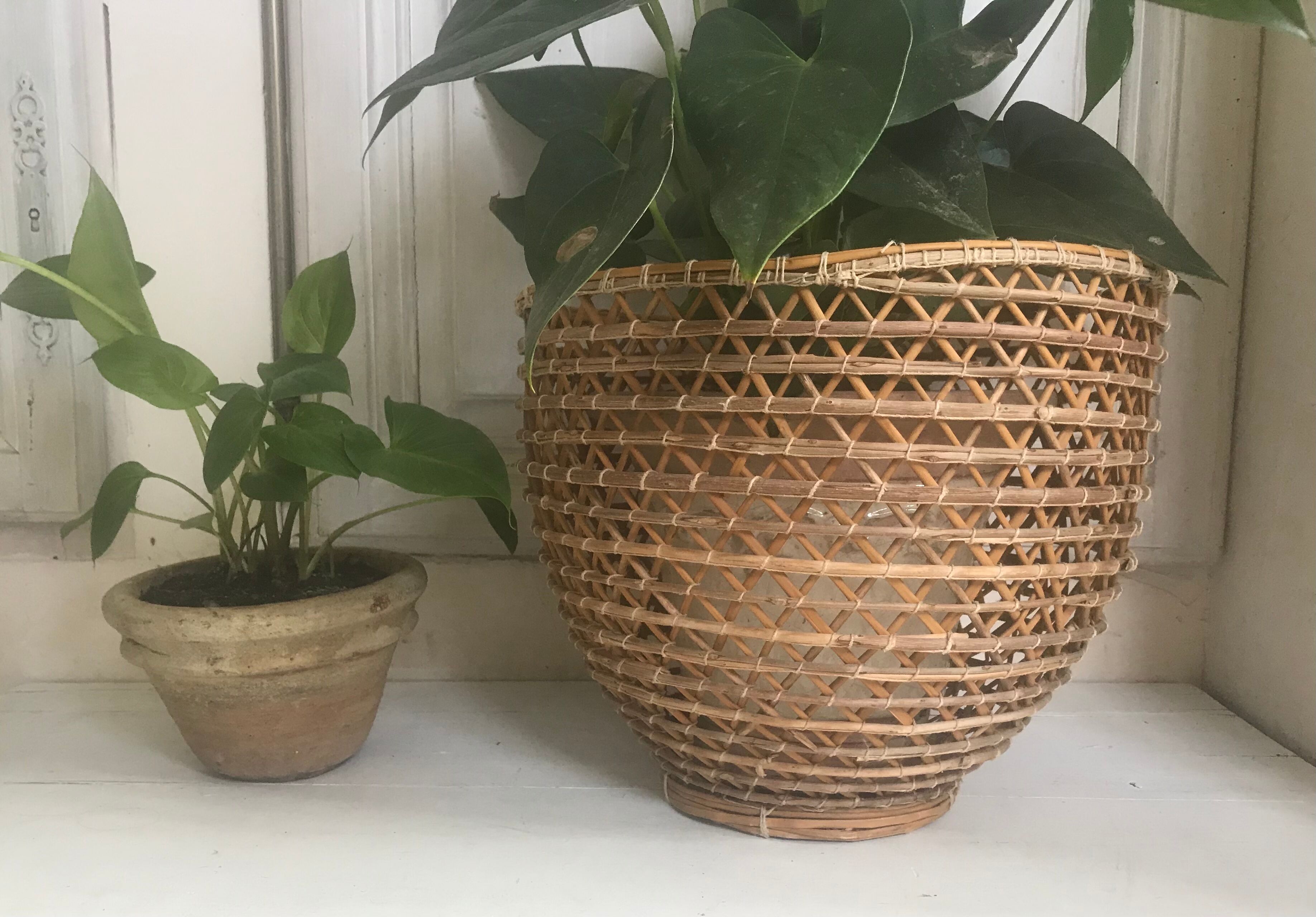 Rattan pot-pot