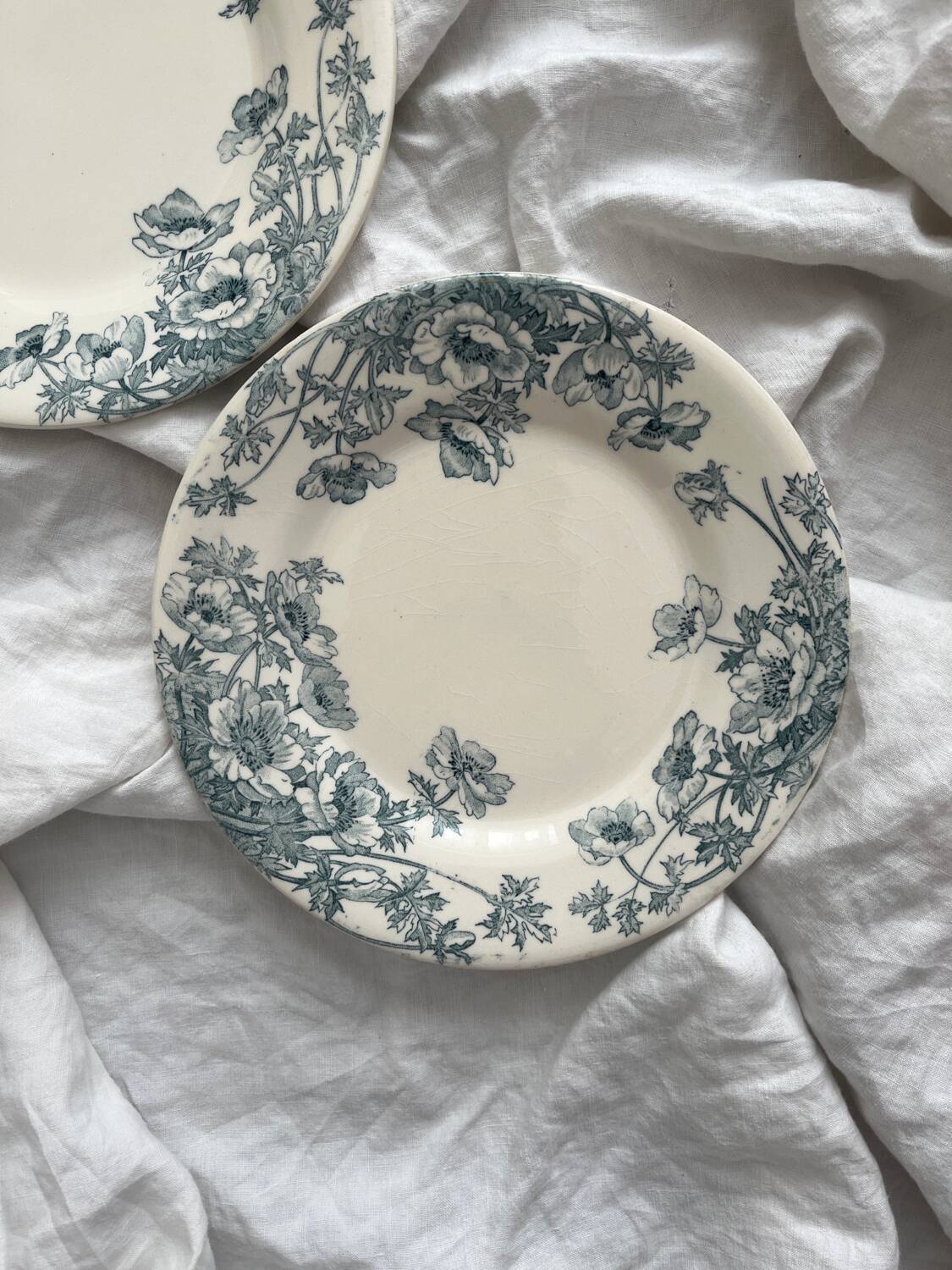 2 Gien "Anemones" ironstone dessert plates