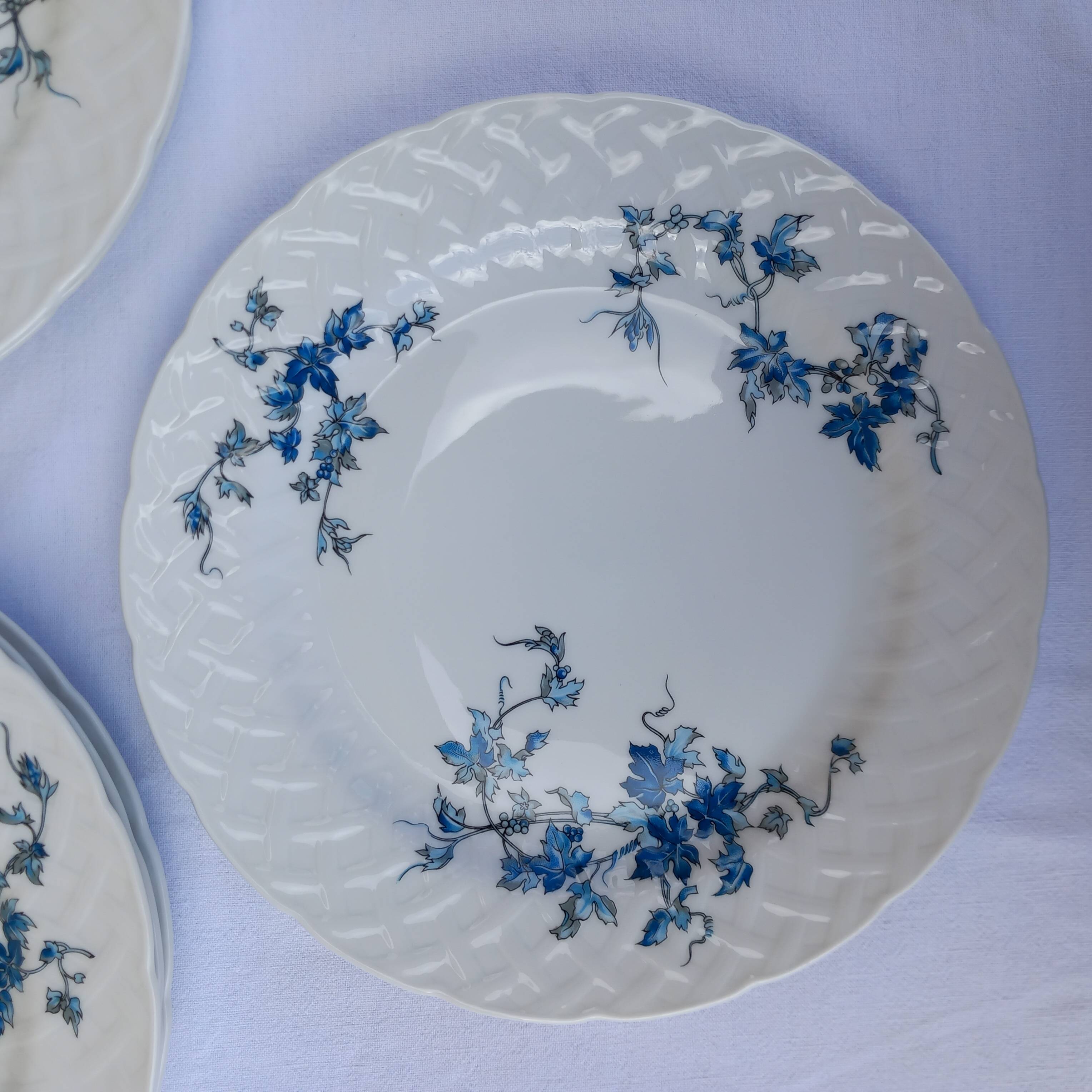 6 Bernardaud porcelain flat plates - Saint-Saens model - 1970s