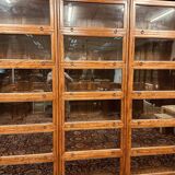 Large Classic English Globe Wernicke Bookcase