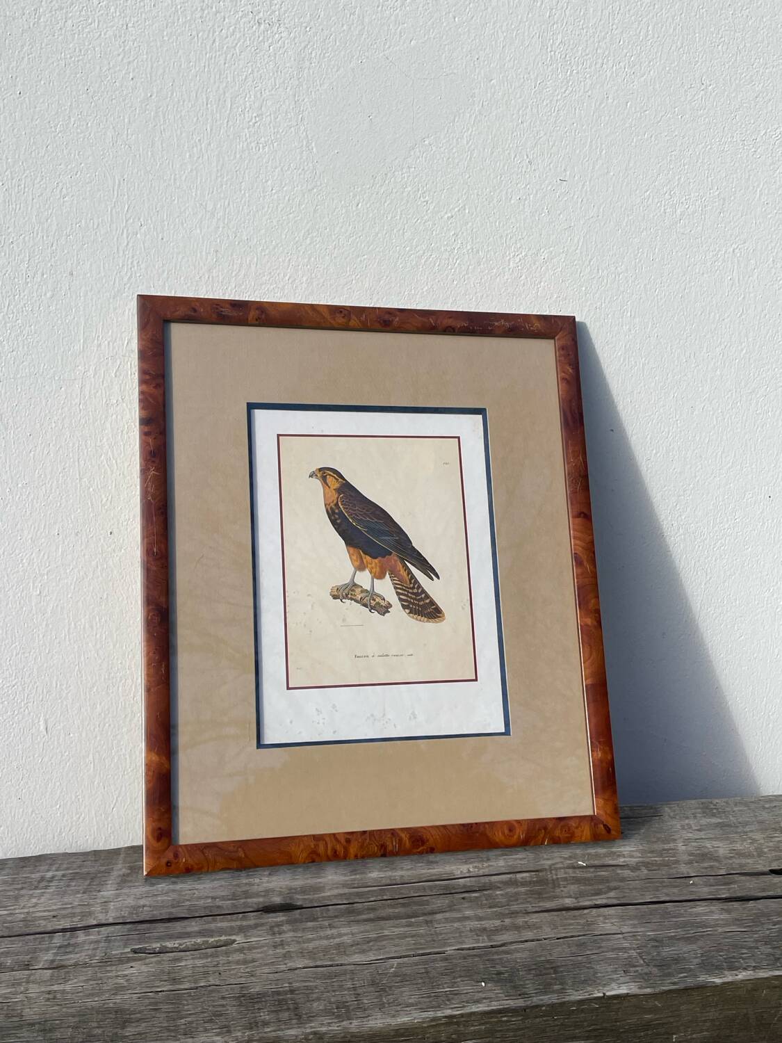 Cadre oiseau bois