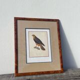 Wooden bird frame