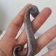 Pair of old door handles levers