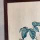 Zoological poster, engraving, of a Ruby-crowned Kinglet, Descourtilz