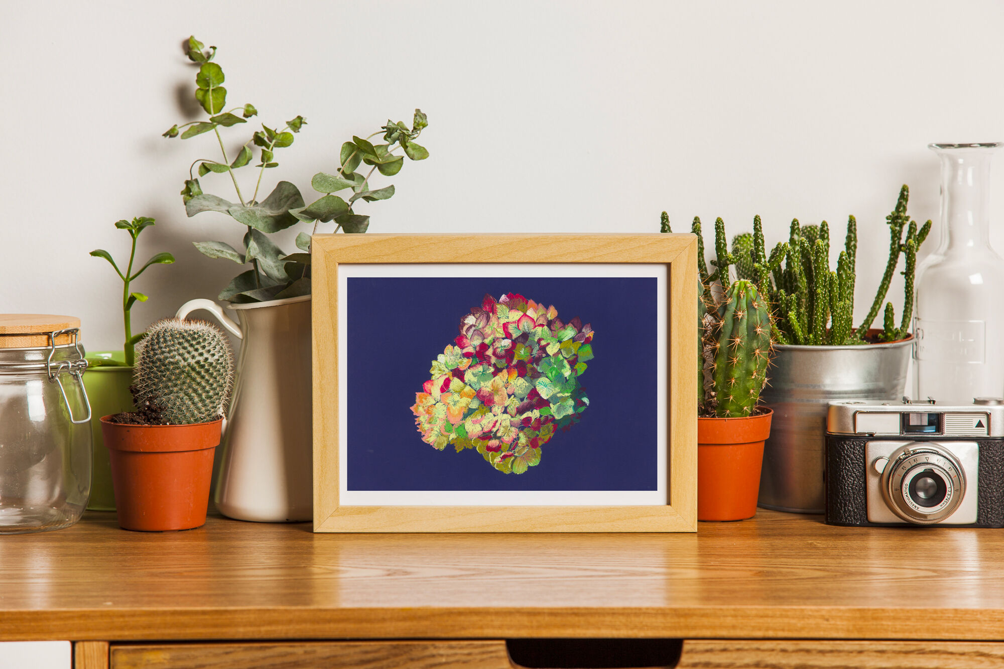 Still Life - Hortensia - Flower