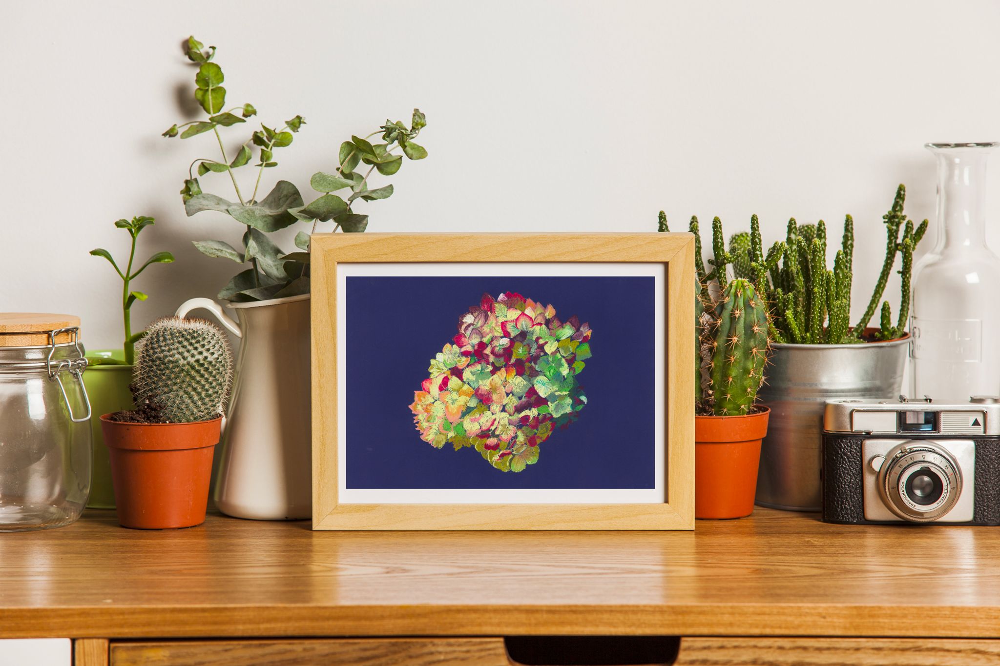 Still Life - Hortensia - Flower