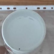 Porcelain vase with peacock decoration