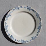 Flat plate