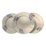 Plates Saint Amandinoise Saint Amand