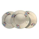 Plates Saint Amandinoise Saint Amand