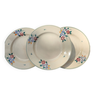 Plates Saint Amandinoise Saint Amand