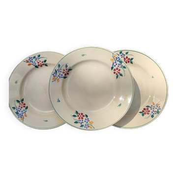 Assiettes Saint Amandinoise Saint Amand