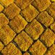 Moroccan wool Berber rug yellow rug