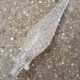Carafe Empoli transparente