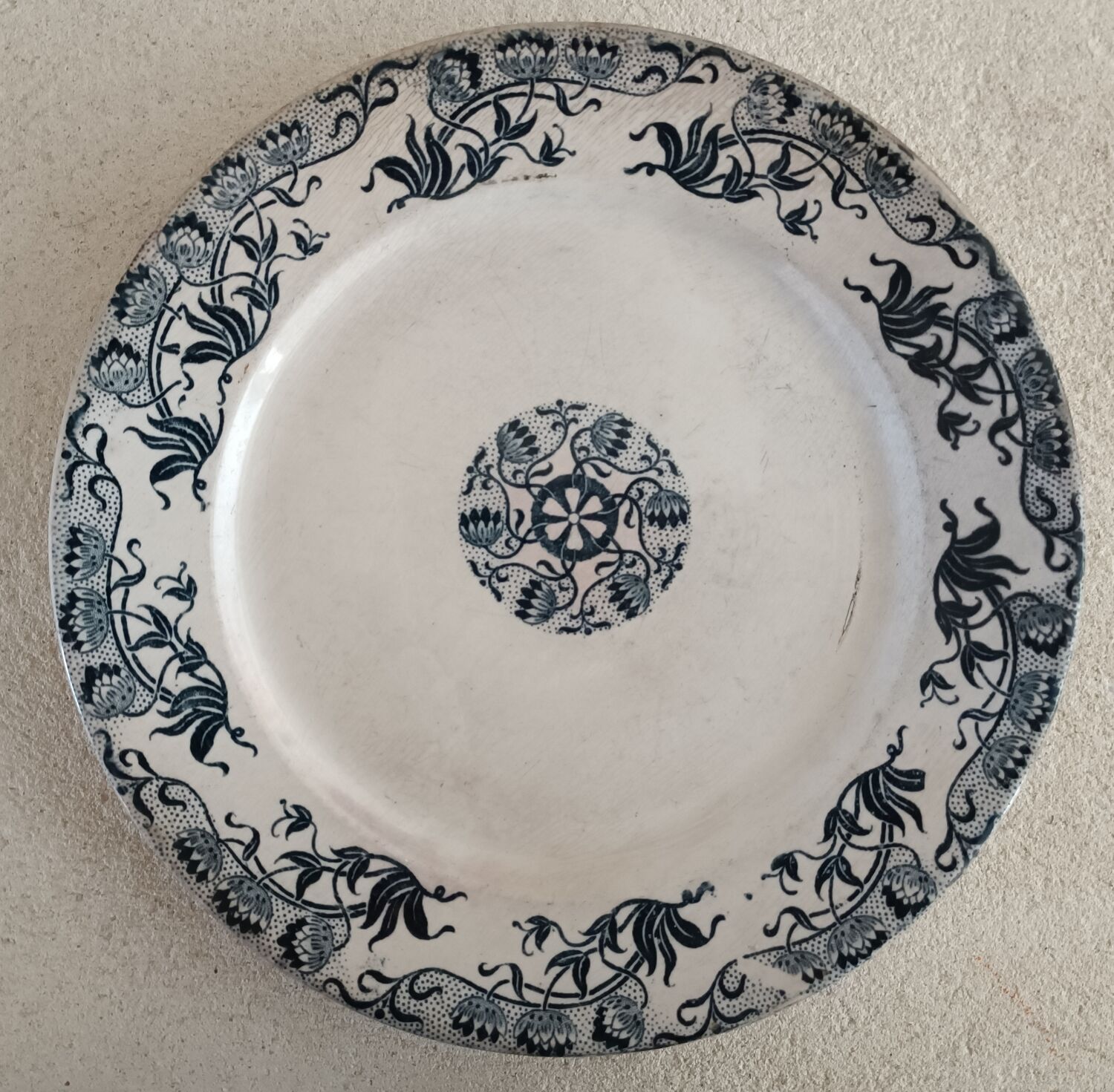 2 plates iron earth Sarreguemines