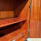 Tall Art Deco Cabinet in Macassar Veneer and Mahogany, France, 1930s