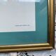 Framed zoological plate of birds