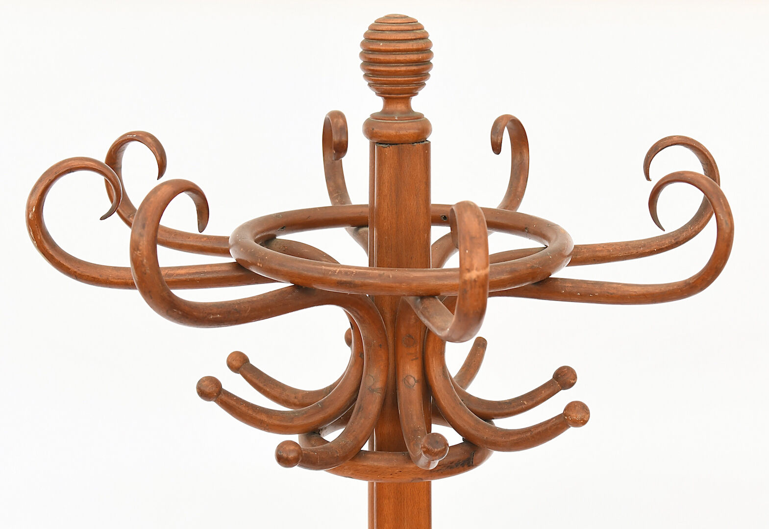 Parrot coat rack in curved wood