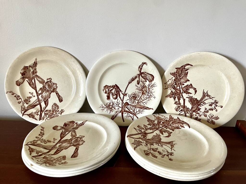 Set of 10 sepia plates, Terre de Fer flower pattern, 1900
