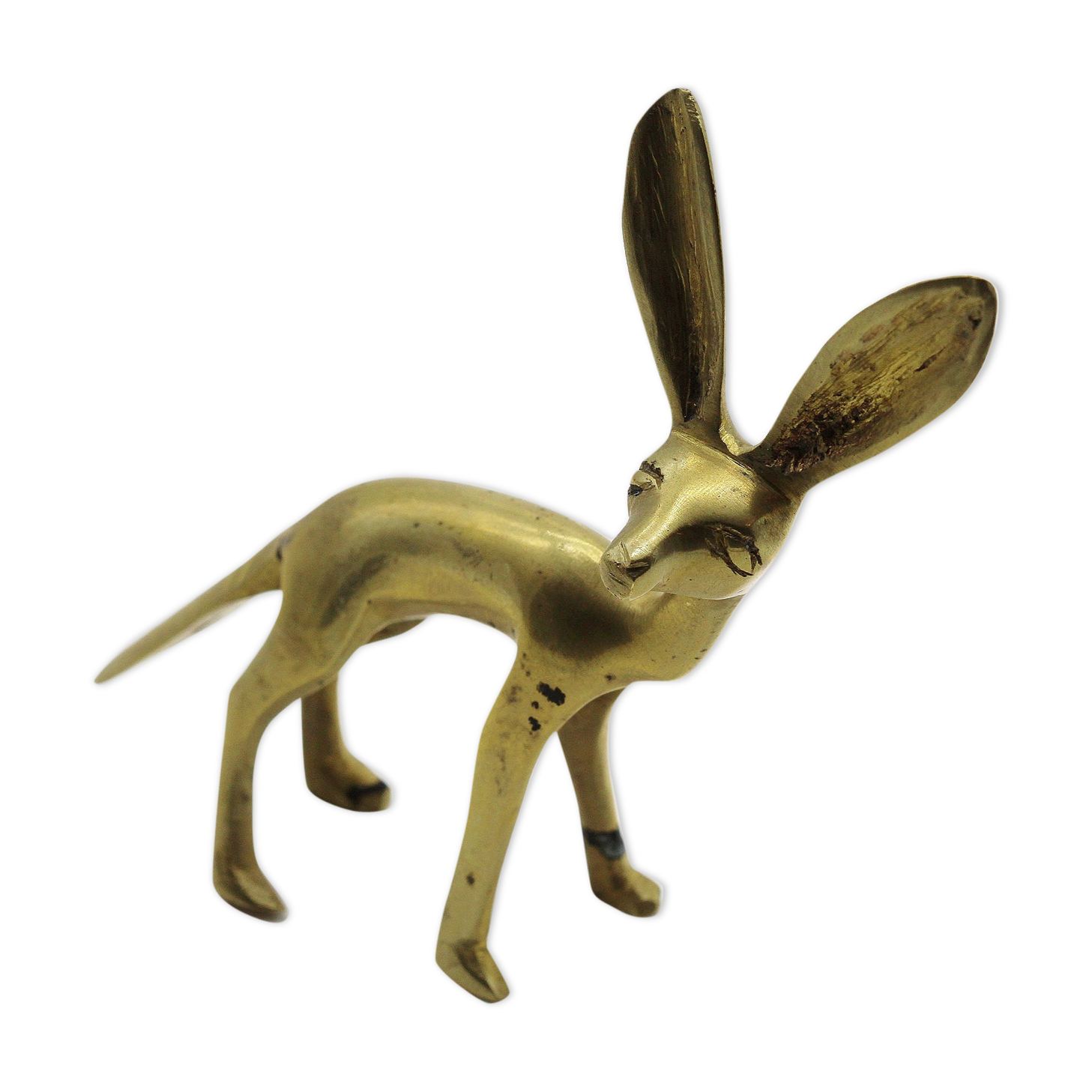Brass fennec