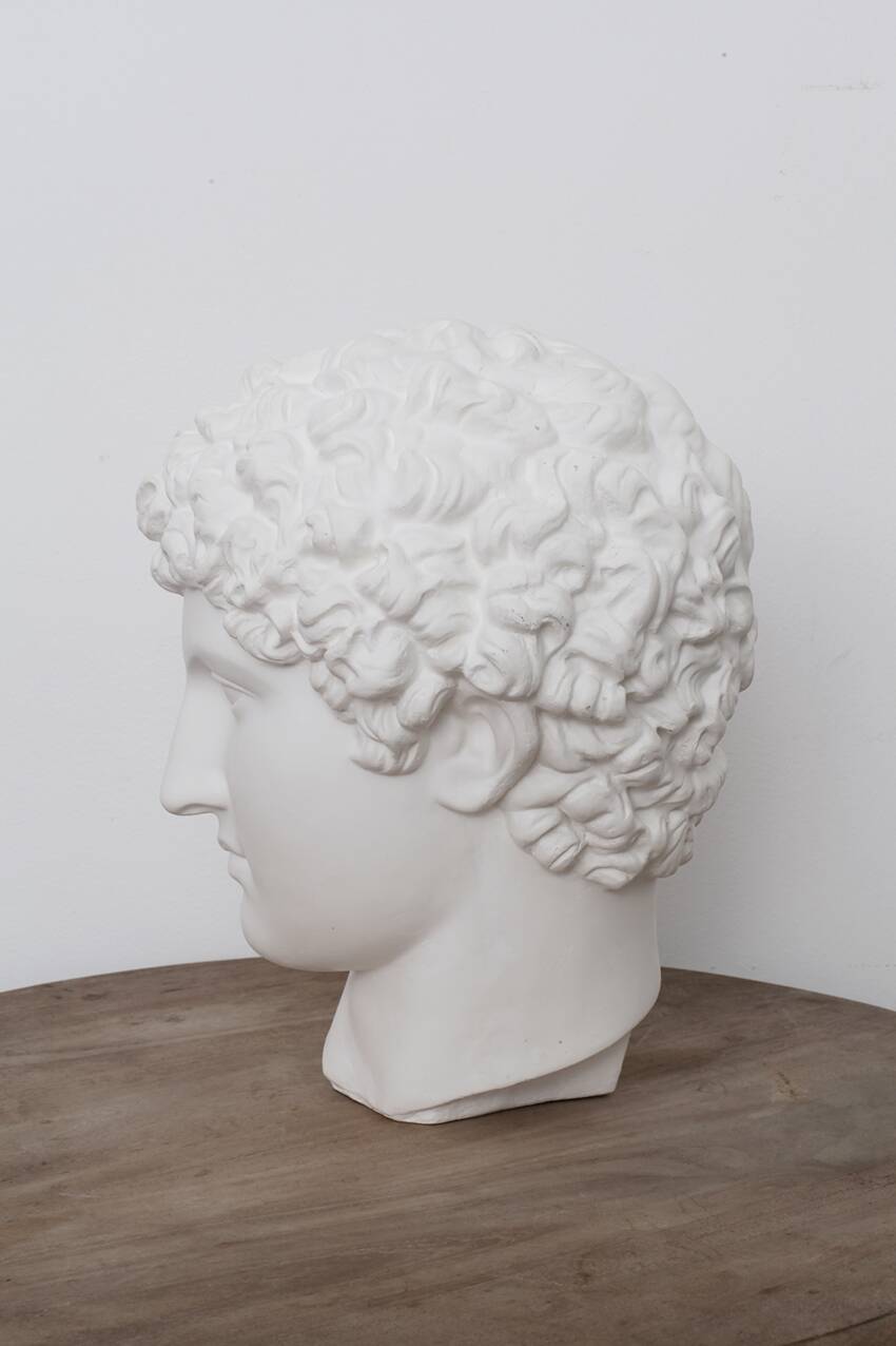 Greek head in waxed white plaster