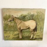 Oil painting on canvas horse