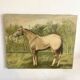 Oil painting on canvas horse