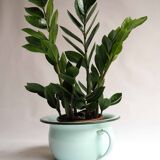 Enameled sheet metal pot