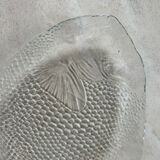 Assiettes vintage poisson verre arcoroc