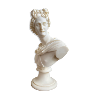 Bust of Apollo
