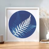 Ferns 2