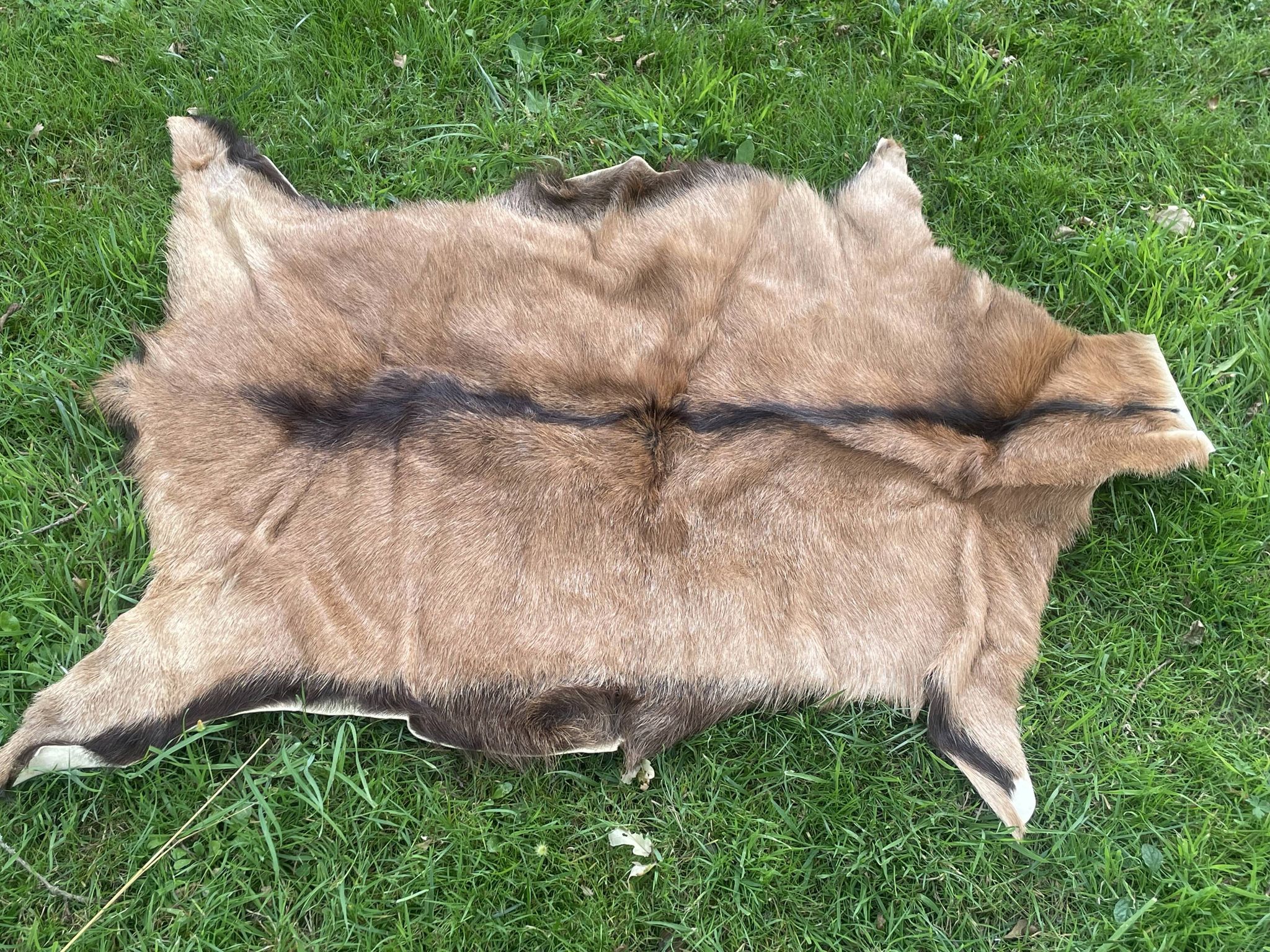 carpet in real goatskin. leather. approx. 102 x 72 cm