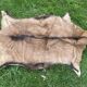 carpet in real goatskin. leather. approx. 102 x 72 cm