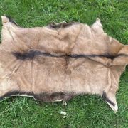carpet in real goatskin. leather. approx. 102 x 72 cm