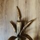 Pair of wheat spike wall lights in gold metal