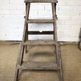 Removable painter's stepladder