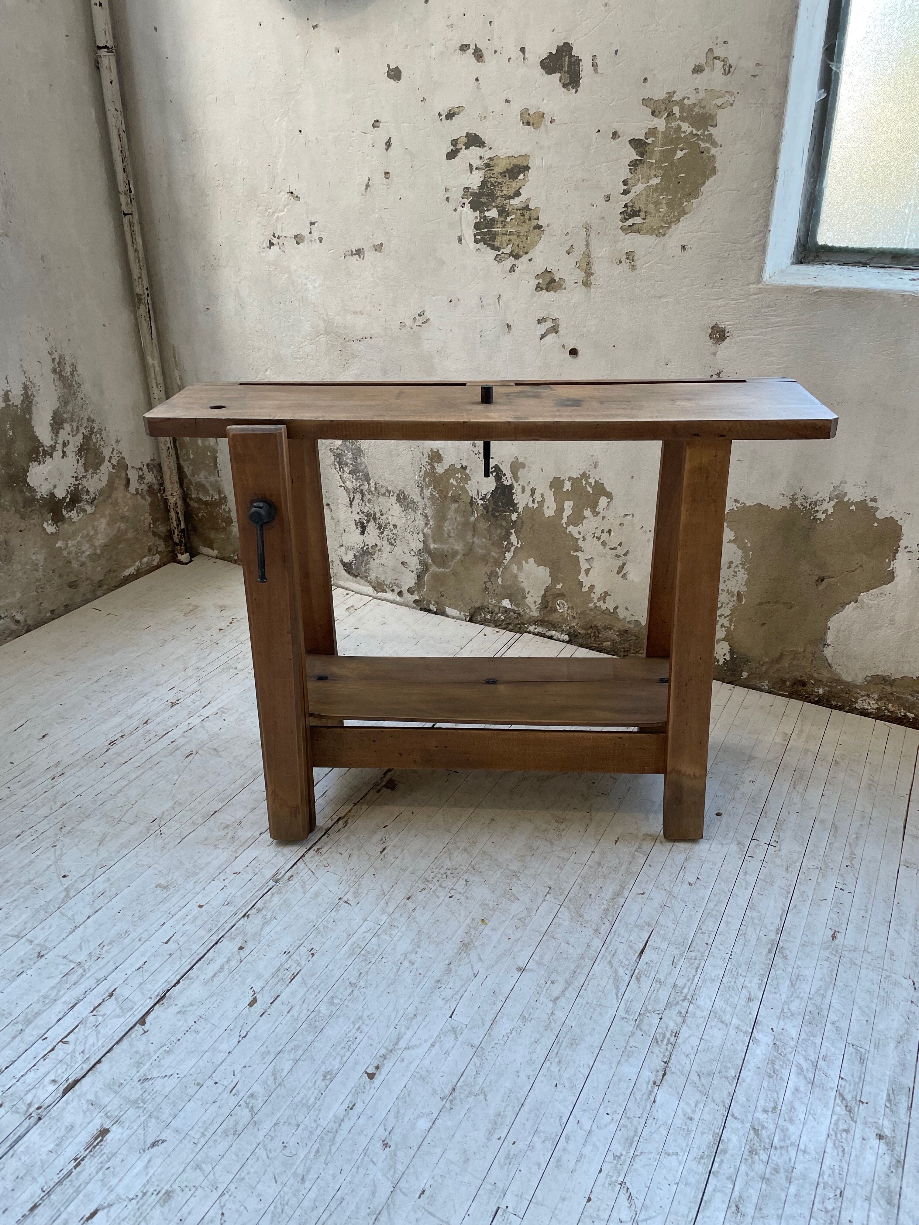 Established XS in cherry tree