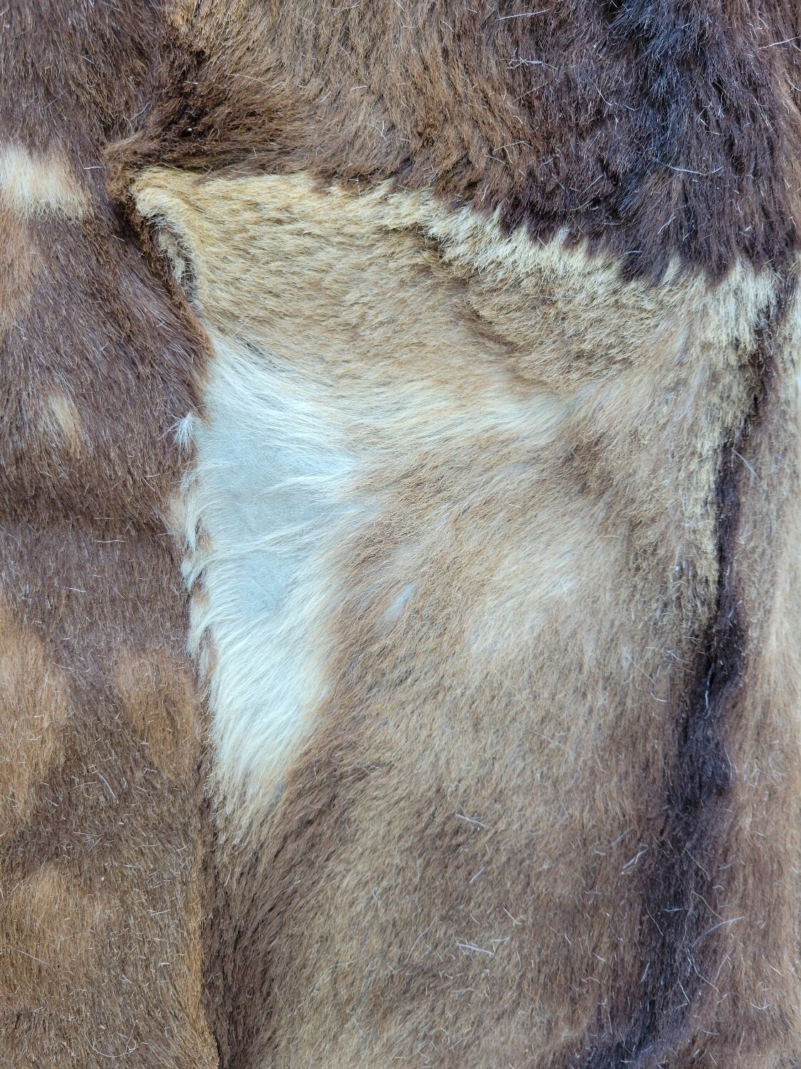 Mexican goatskin rug